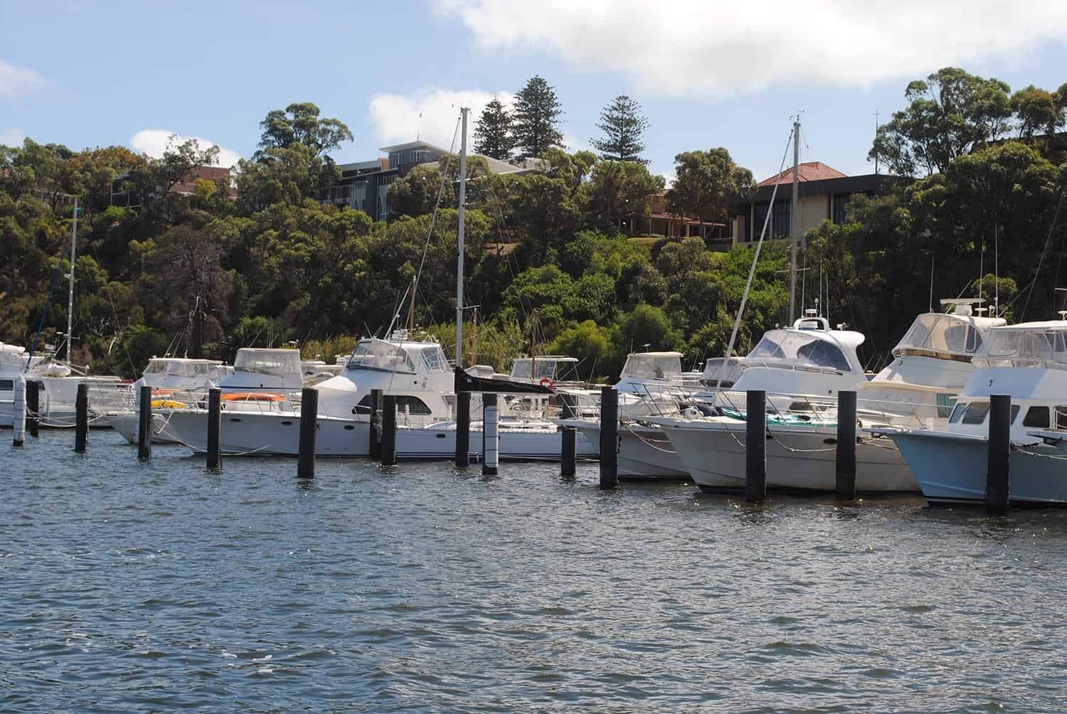 claremont yacht club pen fees